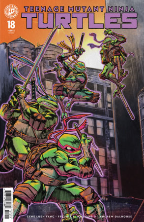 TEENAGE MUTANT NINJA TURTLES #18 VAR D