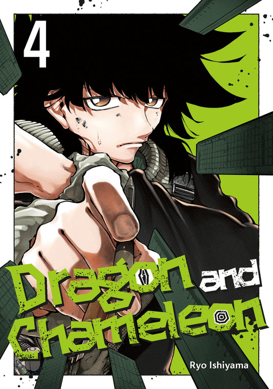 DRAGON & CHAMELEON GN VOL 04 (MR) TP (Backorder, Allow 4-5 Weeks)