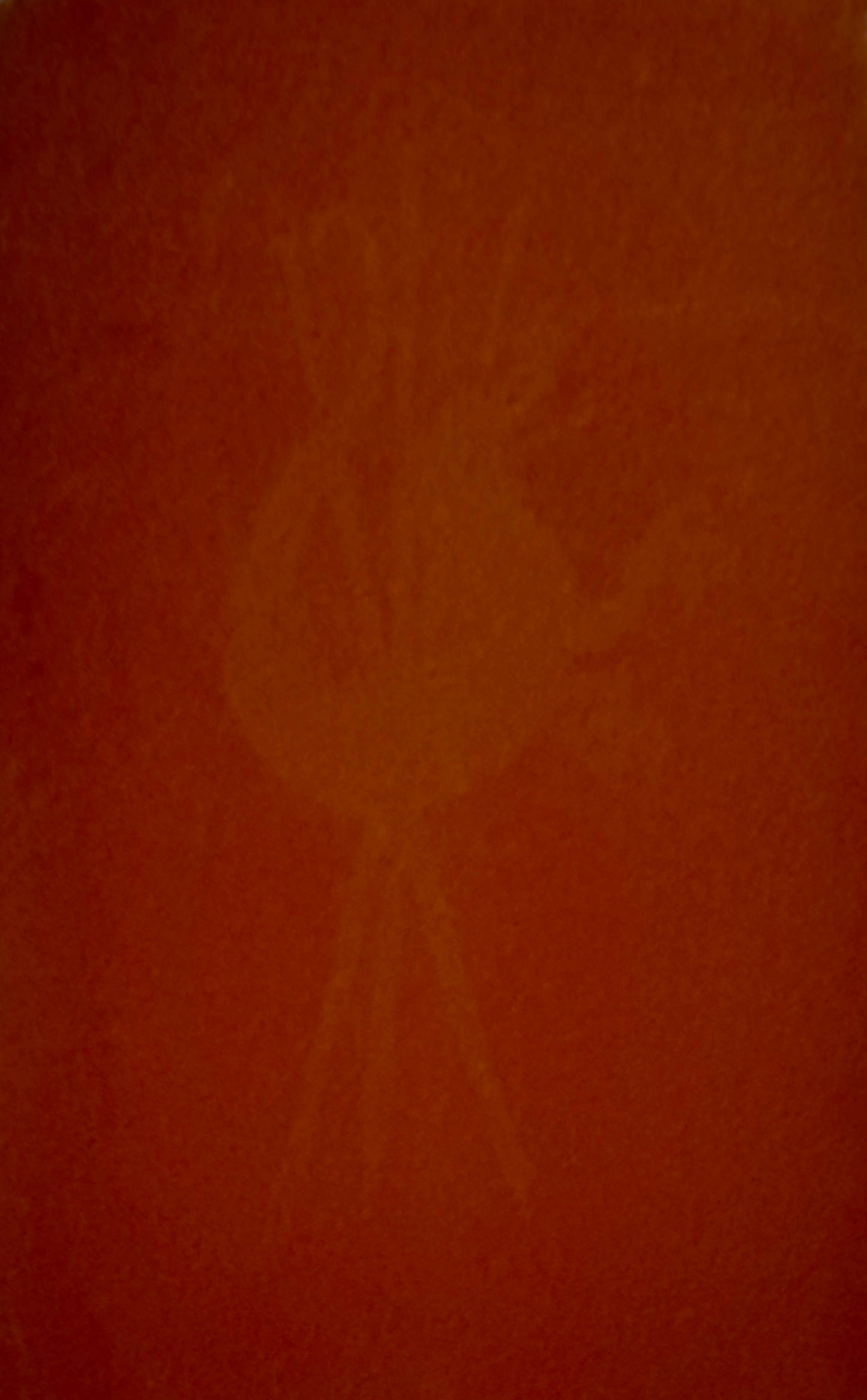 HOUSE OF SLAUGHTER #21 ASHCAN THANK YOU VAR ONE PER STORE - Comicbookeroo