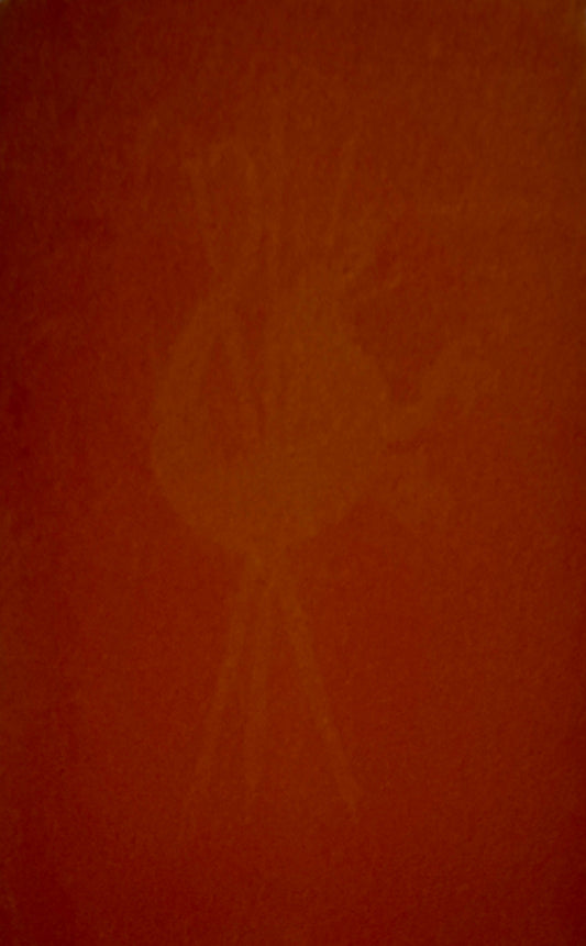 HOUSE OF SLAUGHTER #21 ASHCAN THANK YOU VAR ONE PER STORE - Comicbookeroo