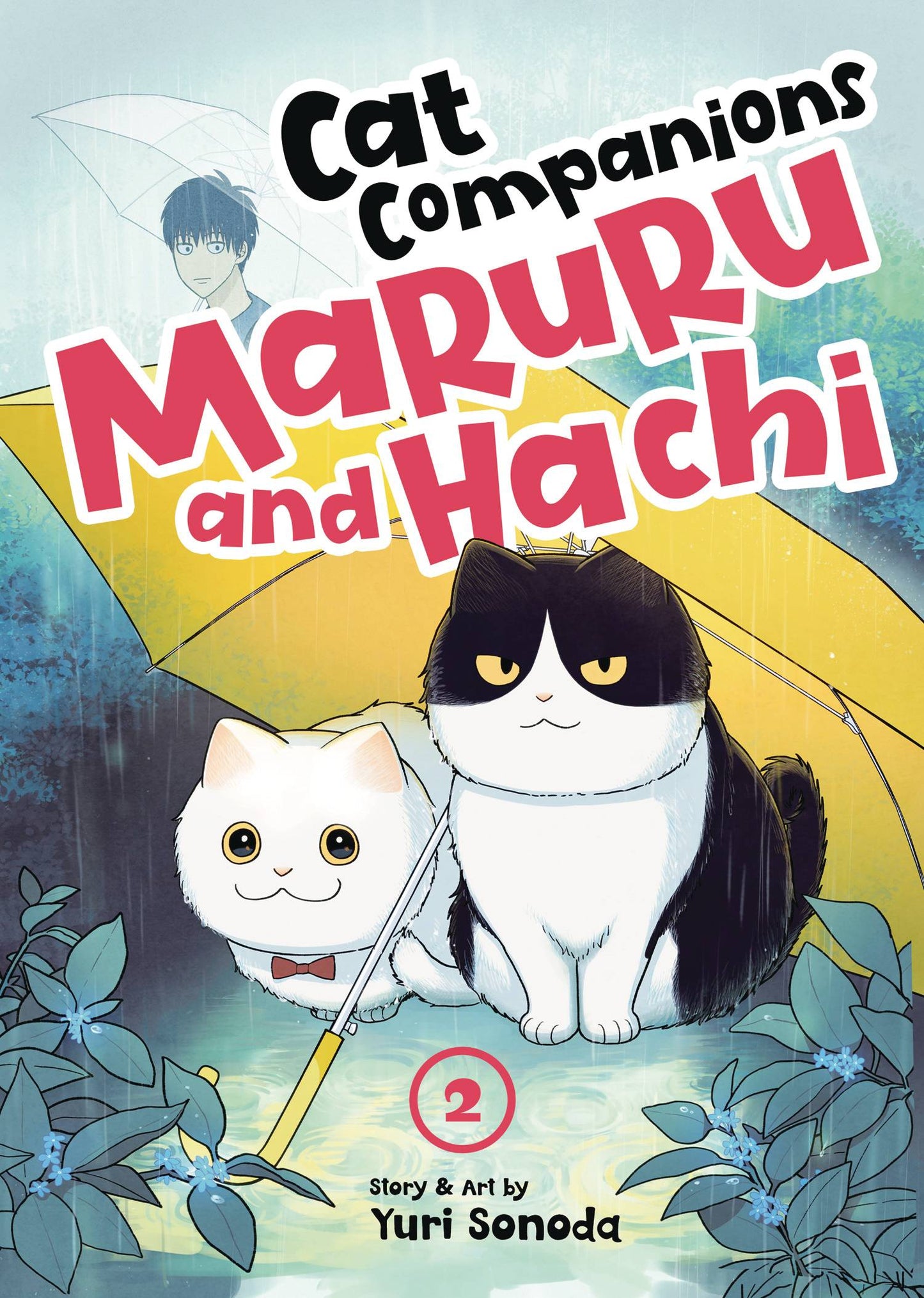 CAT COMPANIONS MARURU & HACHI GN VOL 02 (18 Dec Release) - Comicbookeroo