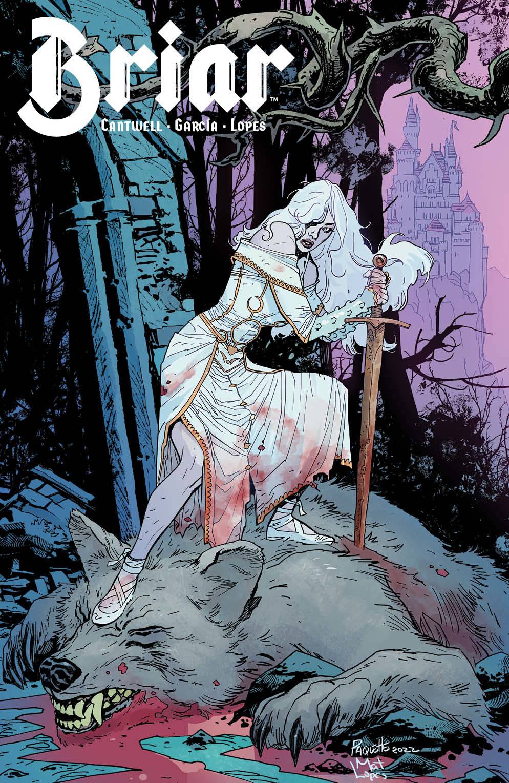 BRIAR #1 (OF 4) CVR B PAQUETTE - Comicbookeroo