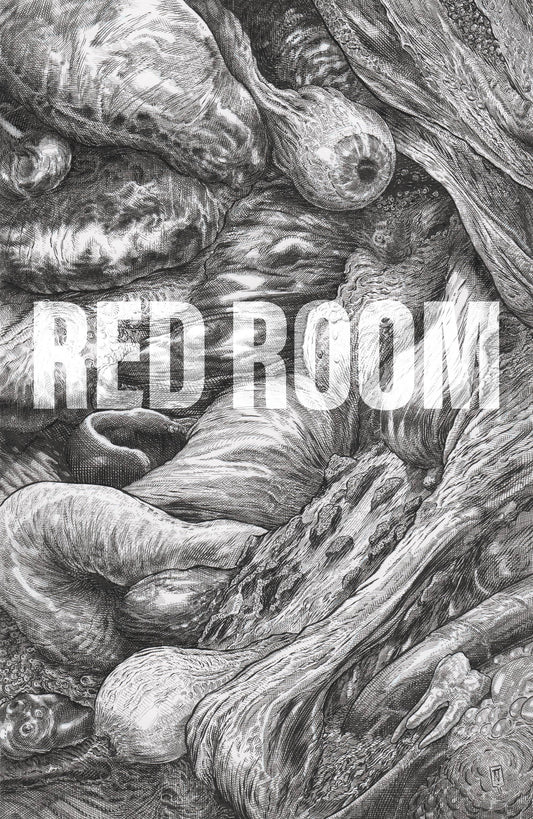 RED ROOM #2 CVR B NIXEY 1:5 INCV FOC INCV - Comicbookeroo